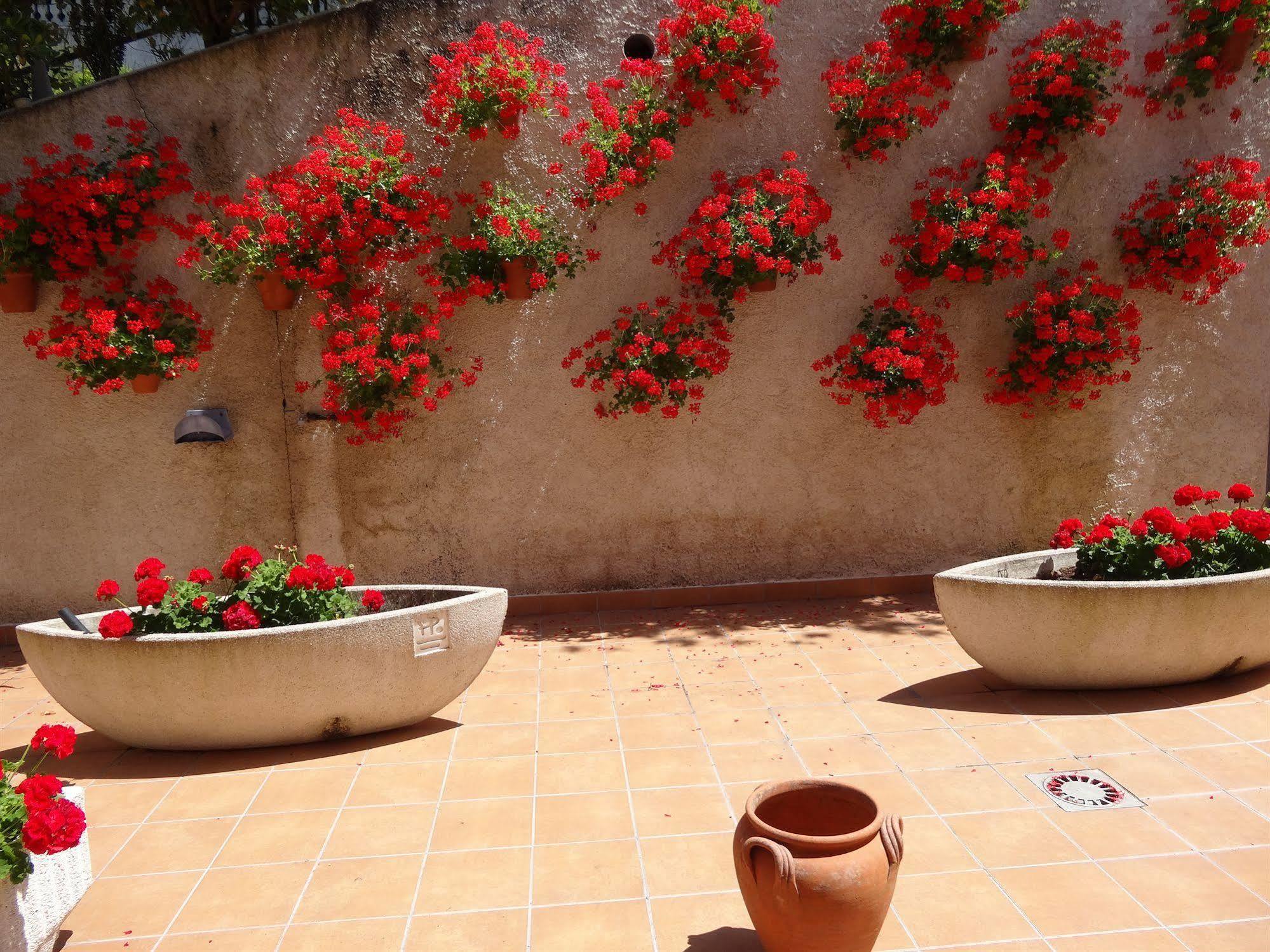 Hotel El Pescador Perillo Dış mekan fotoğraf